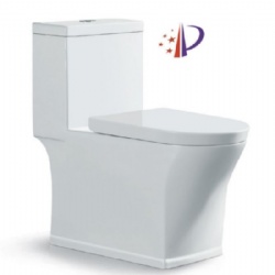 Siphonic one-piece toilet